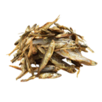 Poissons