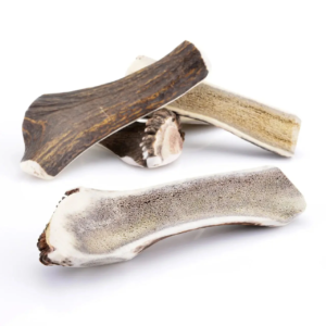 Bois de cerf coupé S chiens de 5 à 10 kg