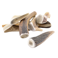 bois de cerf ENTIER - Friandise naturelle pour chien Dog Coaching