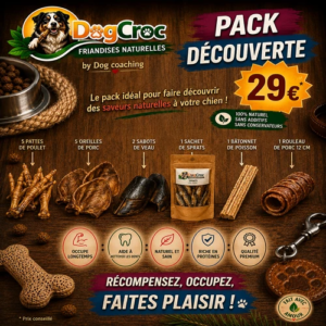PACK DÉCOUVERTE