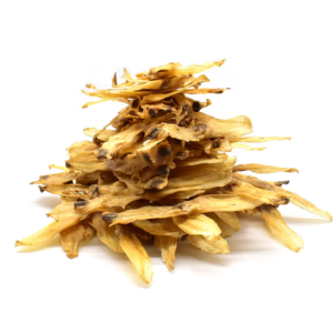 Oreilles de lapin sans poils