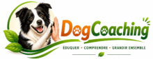 Dog coaching