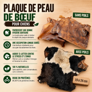 plaque de peau de bœuf avec ou sans poils pour chiens