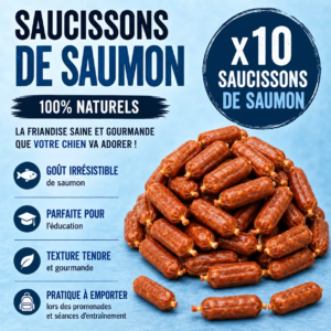 Saucisses au saumon x 10